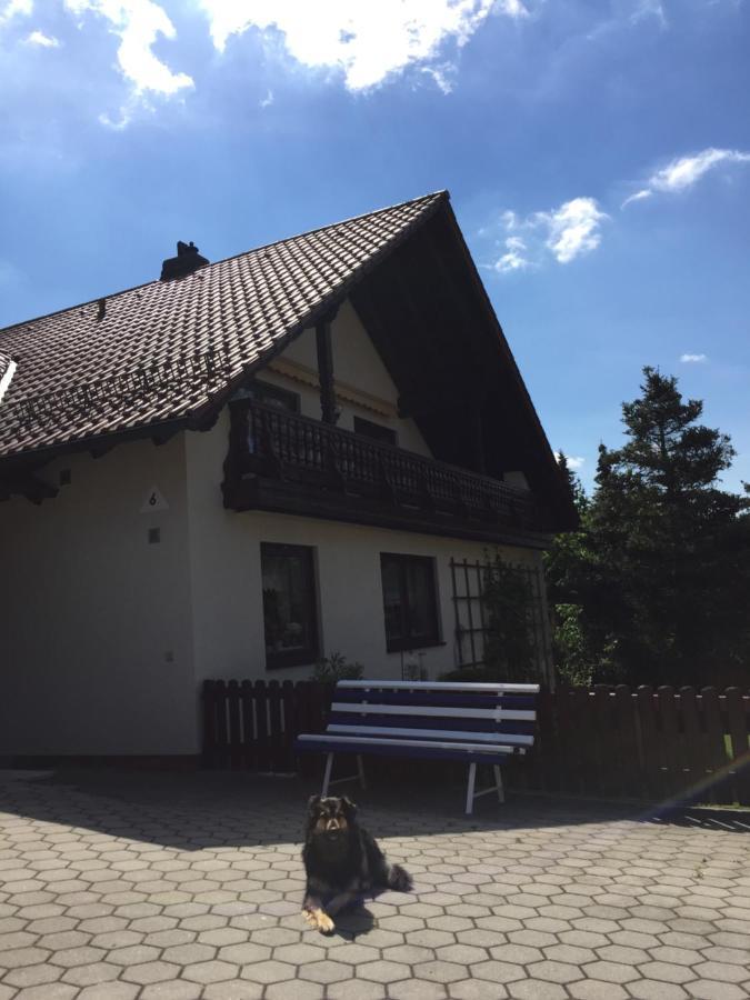 Ferienwohnung Elsner Neunburg vorm Wald Εξωτερικό φωτογραφία